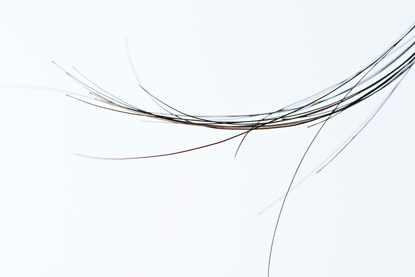 Dark brown and black hair strands scattered on white paper.